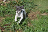 Enlarge photo 23