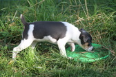 Enlarge photo 22