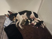 Enlarge photo 21