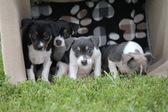 Enlarge photo 20