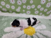 Enlarge photo 19