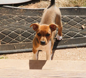Enlarge photo 62