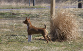 Enlarge photo 35