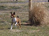 Enlarge photo 36