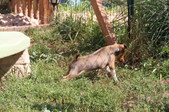 Enlarge photo 93
