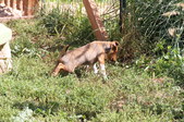 Enlarge photo 95