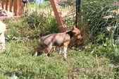 Enlarge photo 94