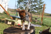 Enlarge photo 88
