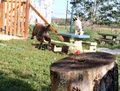 Enlarge photo 82