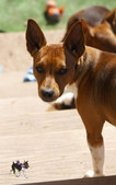Enlarge photo 44