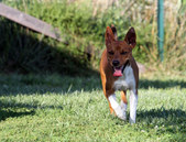 Enlarge photo 27