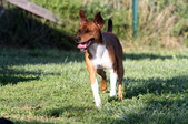 Enlarge photo 28