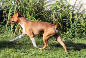 Enlarge photo 24