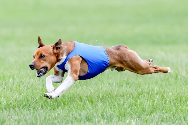 Return to Album