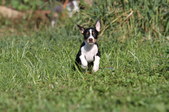 Enlarge photo 73
