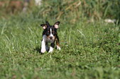 Enlarge photo 69
