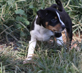 Enlarge photo 67