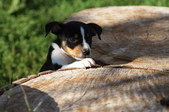 Enlarge photo 63
