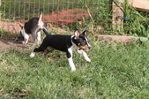 Enlarge photo 58