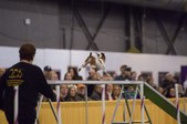 Enlarge photo 44