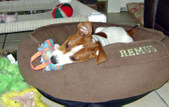 Enlarge photo 125