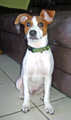 Enlarge photo 130