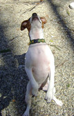 Enlarge photo 135