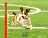 Enlarge photo 98