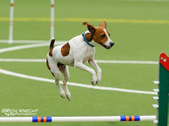 Enlarge photo 113