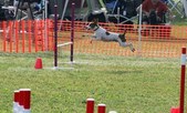 Enlarge photo 70