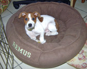 Enlarge photo 142