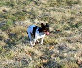 Enlarge photo 16