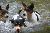 Enlarge photo 21