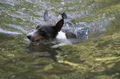 Enlarge photo 2