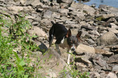 Enlarge photo 23