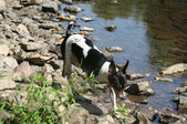 Enlarge photo 24