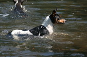 Enlarge photo 13