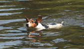 Enlarge photo 15