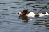 Enlarge photo 16
