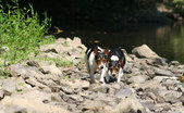 Enlarge photo 7