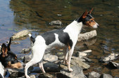 Enlarge photo 11