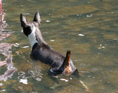 Enlarge photo 17