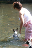 Enlarge photo 8