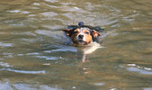 Enlarge photo 18