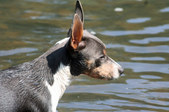 Enlarge photo 19