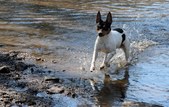 Enlarge photo 24
