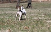 Enlarge photo 20