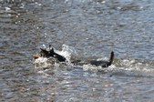 Day at the River (Spring 2013)