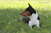 Enlarge photo 9