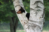 Enlarge photo 12